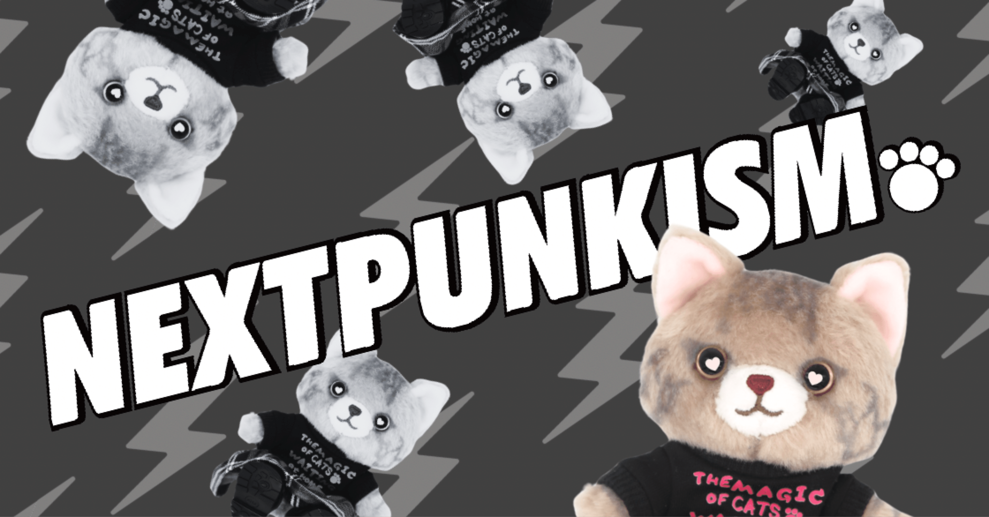 春のTCP祭り｜黒柳 能生 公式note