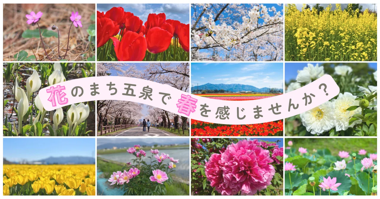 花のまち五泉で春を感じませんか？花めぐりスポットご案内(3月～4月