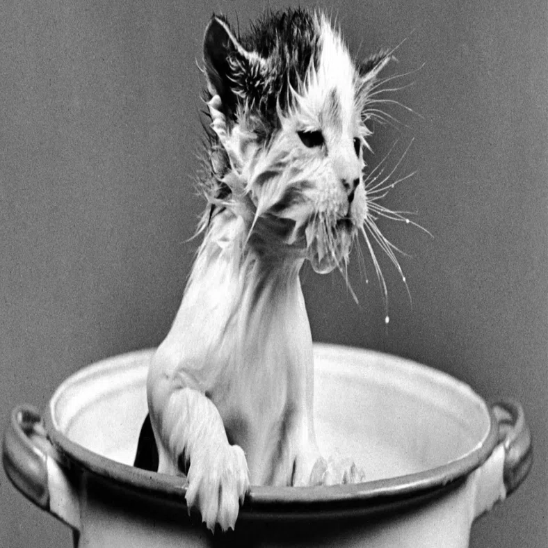 She is dripping wet -- and wiser.