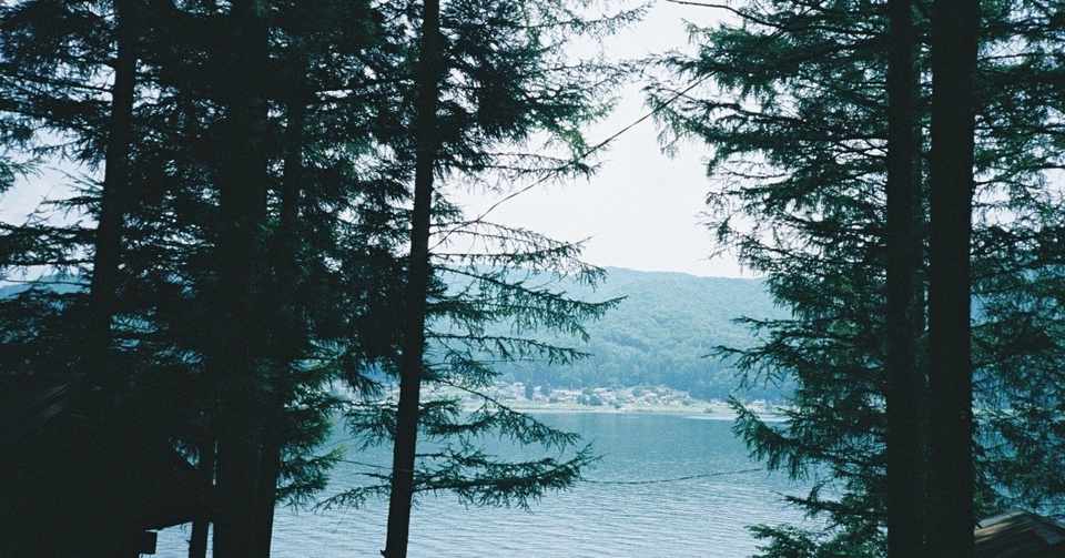 悲しみの乗り越え方 紬 Tsumugi Note