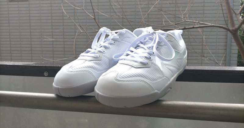 25センチ NIKE ナイキ ズームX ヴェイパーフライ ネクスト％ 2