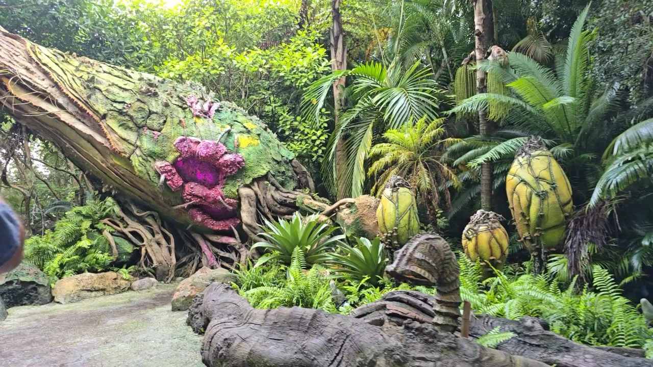 2024年9月】大人親子のWDW旅 ⑤アニマルキングダムとエプコット
