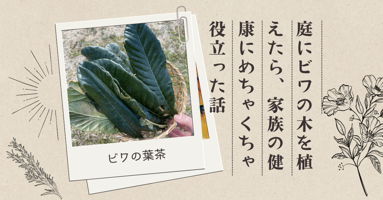 庭にビワの木を植えたら、家族の健康にめちゃくちゃ役立った話｜三浦