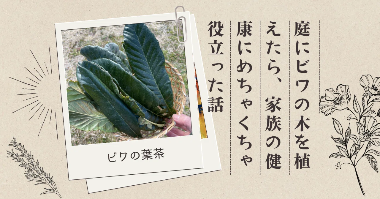庭にビワの木を植えたら、家族の健康にめちゃくちゃ役立った話｜三浦