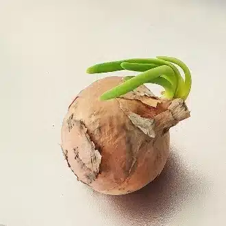 enaco