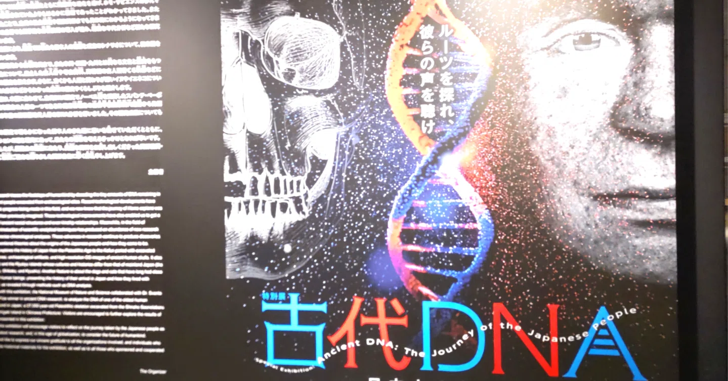 特別展『古代DNA -日本人のきた道-』レビュー/国立科学博物館｜縄文