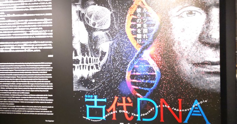 ラウンド  古代DNA展 図録 国立科学博物館 科博（国立科学博物館」の人気 科学・サイエンス