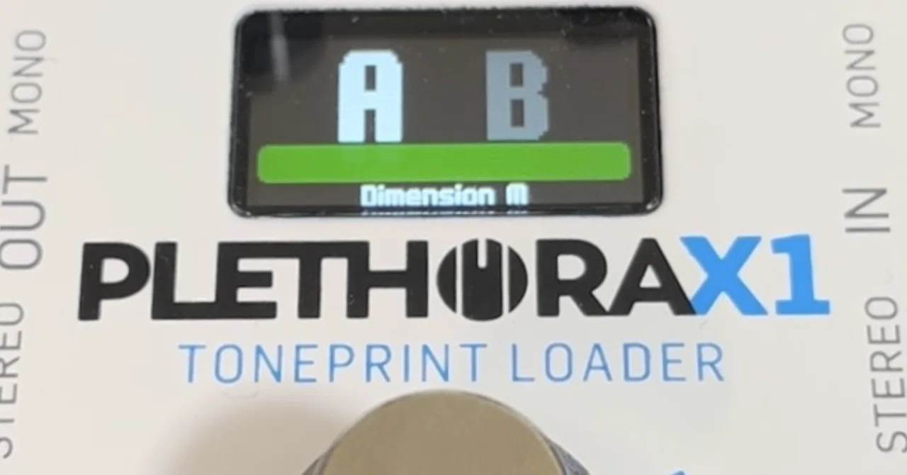 PLETHORA X1の感想を書く記事｜びわ