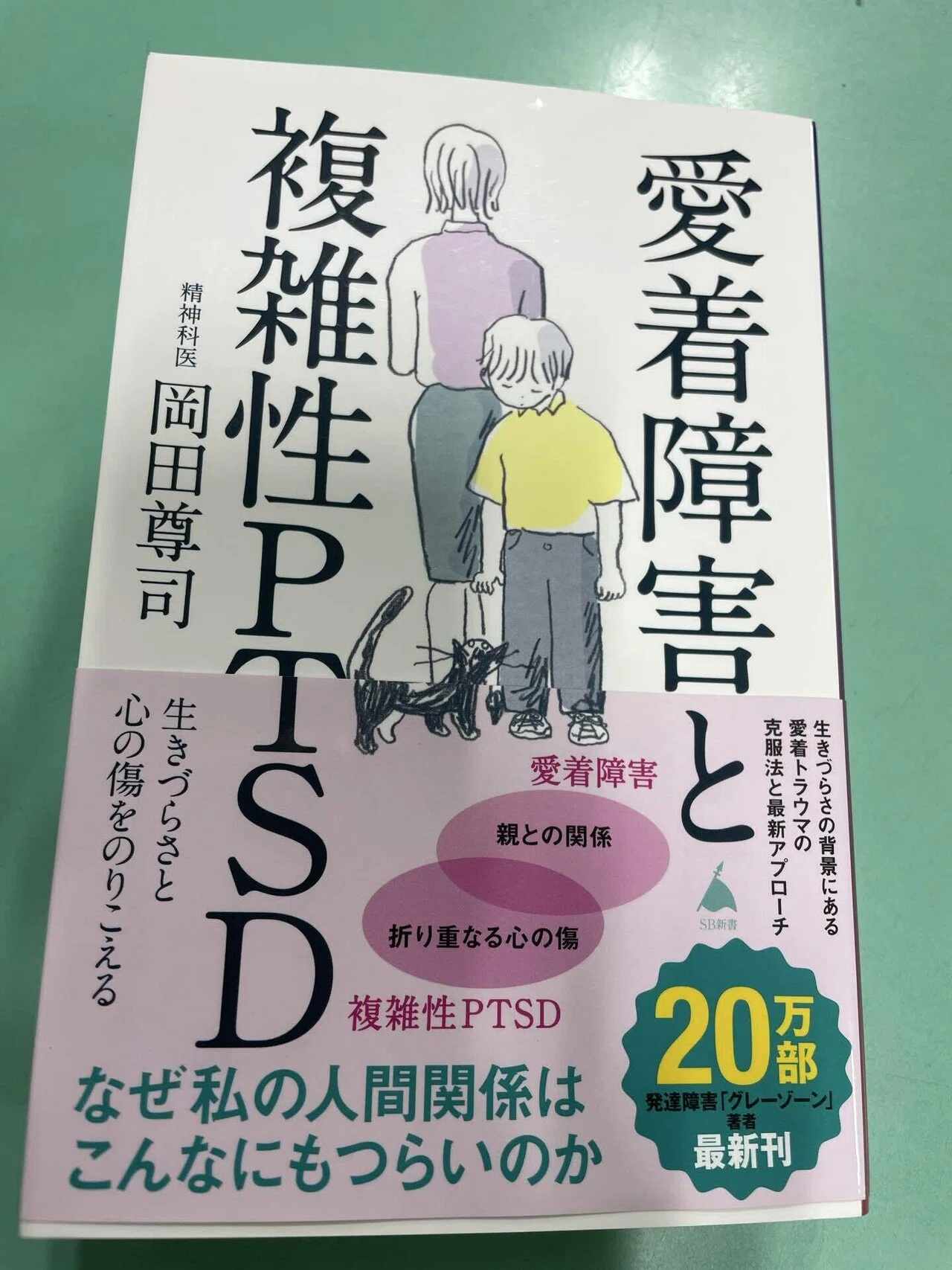 岡田尊司氏の『愛着障害と複雑性PTSD 生きづらさと心の傷をのりこえる