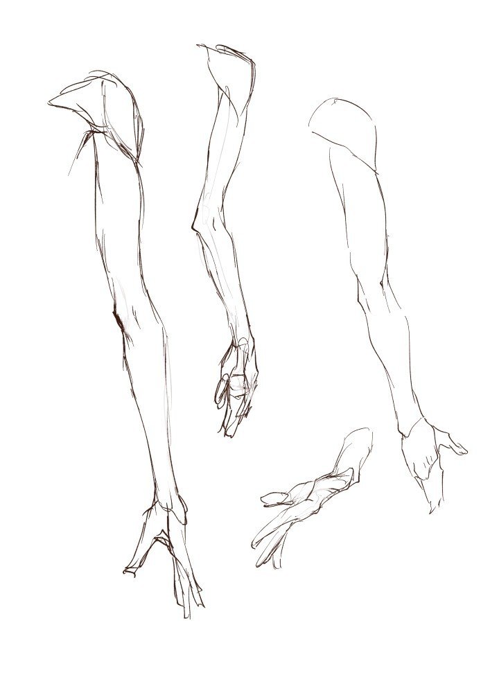 絵をかくのが好きじゃない絵描き 氷音 Note 絵をかくのが好きじゃない絵描き 氷音 Note