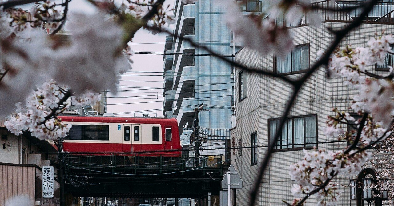 写真11枚】春雨の横浜で花見を楽しむ｜沿線街歩き｜yanasnap @東京を撮る
