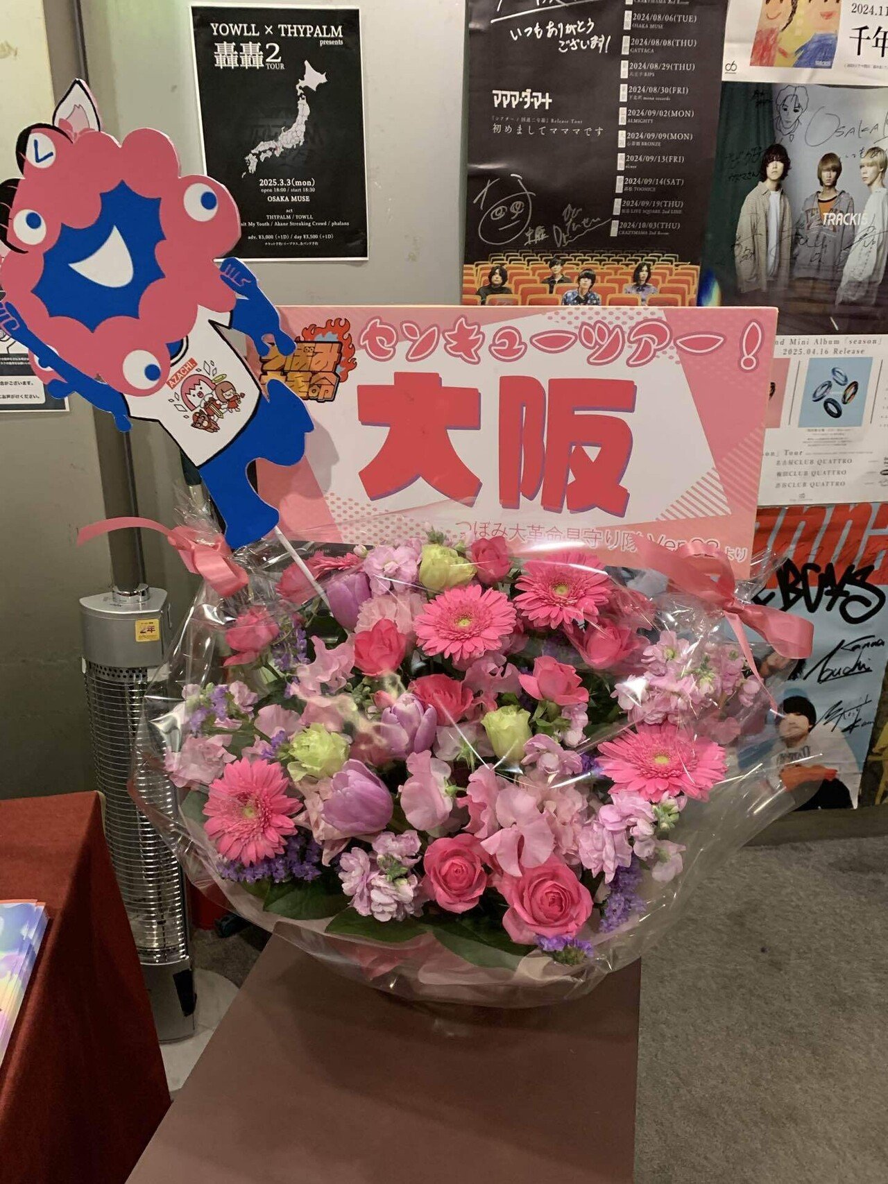 つぼみ大革命との2025年3月一週目in大阪｜ぽみ