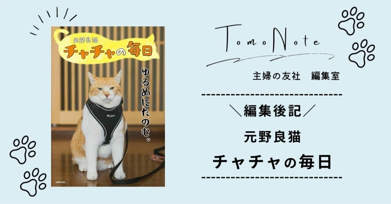 編集後記】勇ましく出陣する猫武将と甘えん坊のギャップがたまらない 