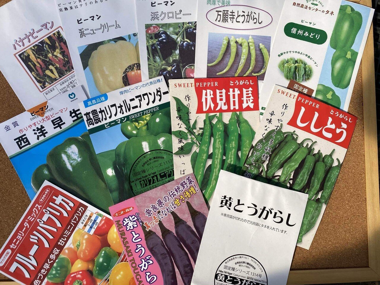 2025 春・夏野菜苗🌱｜hitotubu_nae