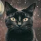 宇宙人が語った世界の仕組み【フロンティア】