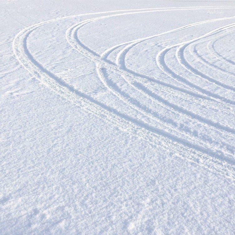 今年は雪が少なくて助かる反面、ちょっと寂しいです。そして雪まつりは危機です。