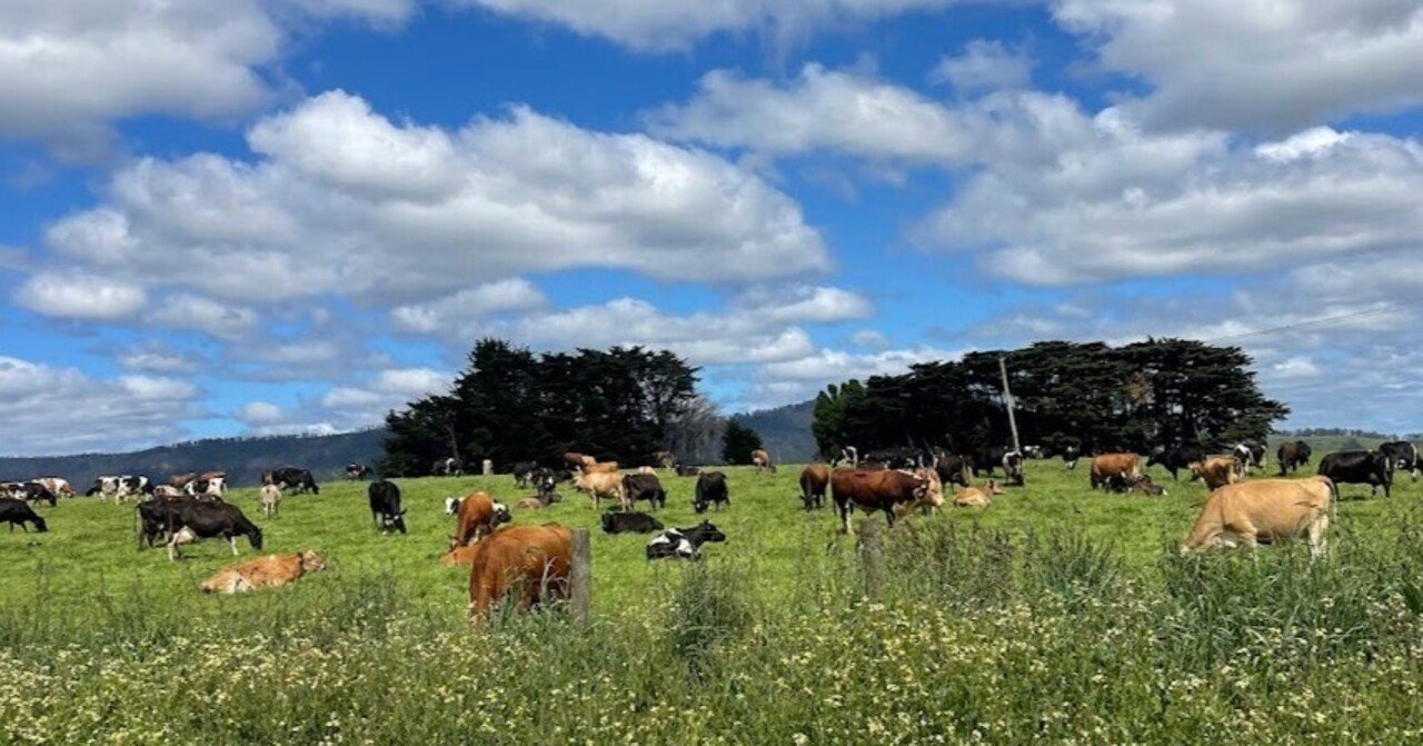 もう一度訪れたくなる場所。Tasmania（タスマニア）ロードトリップ記録