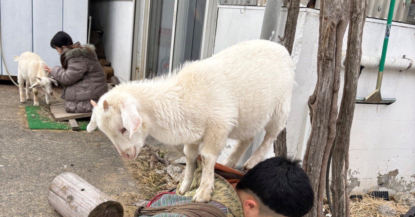 1fc34262a1b585a9e1456b756839ef