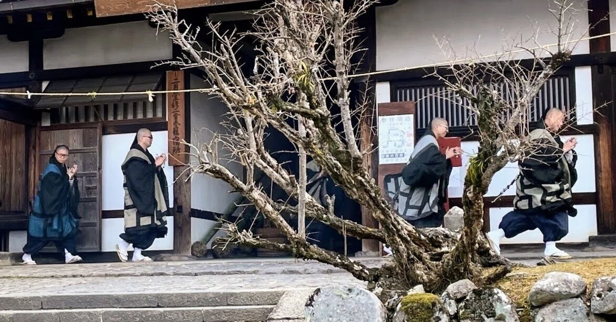 東大寺二月堂お水取り：2 食堂作法｜美術館とお寺と猫