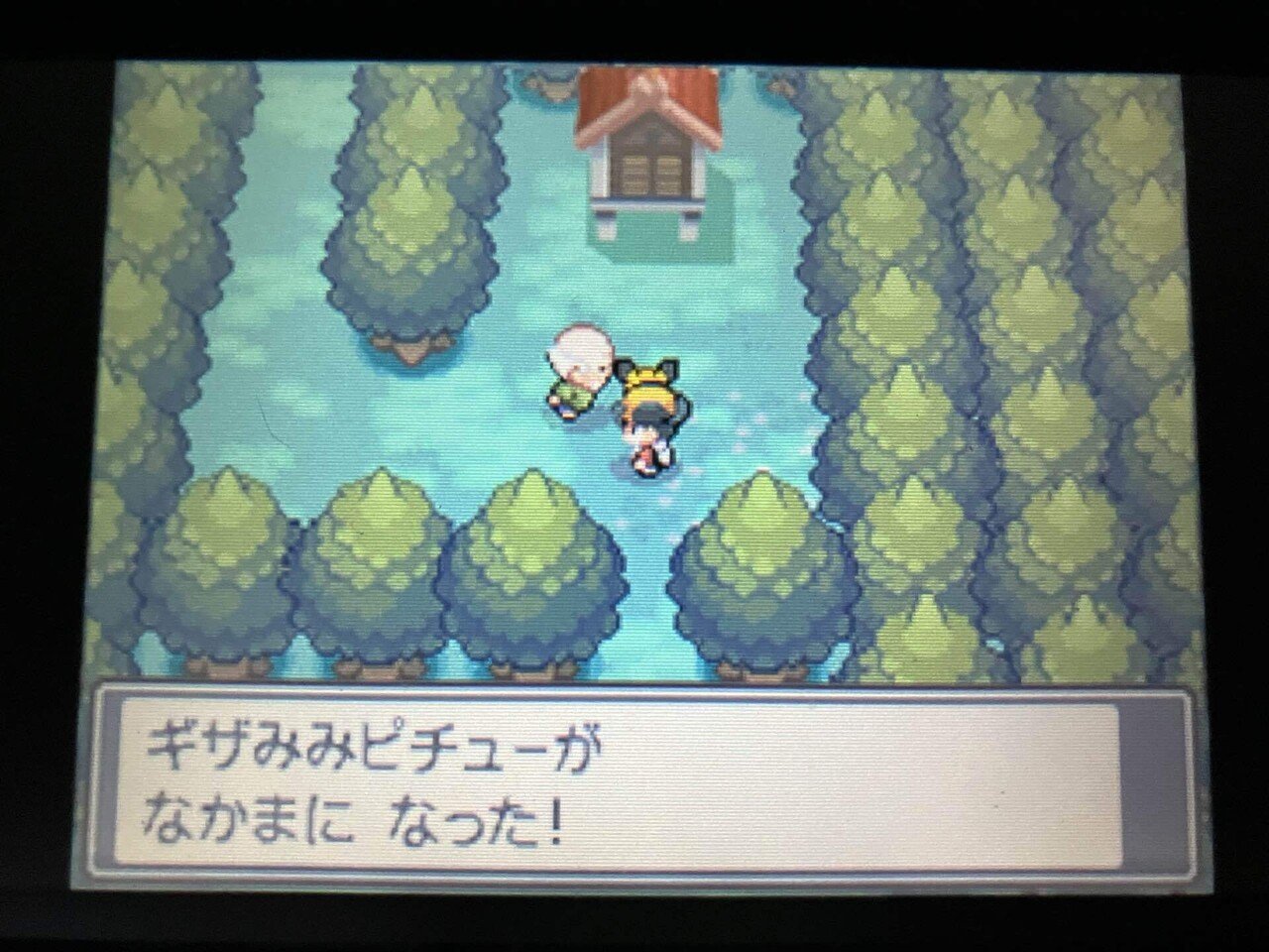 配布ポケモンの思い出(12)：(7世代編)USUM…ミラクル交換…合体