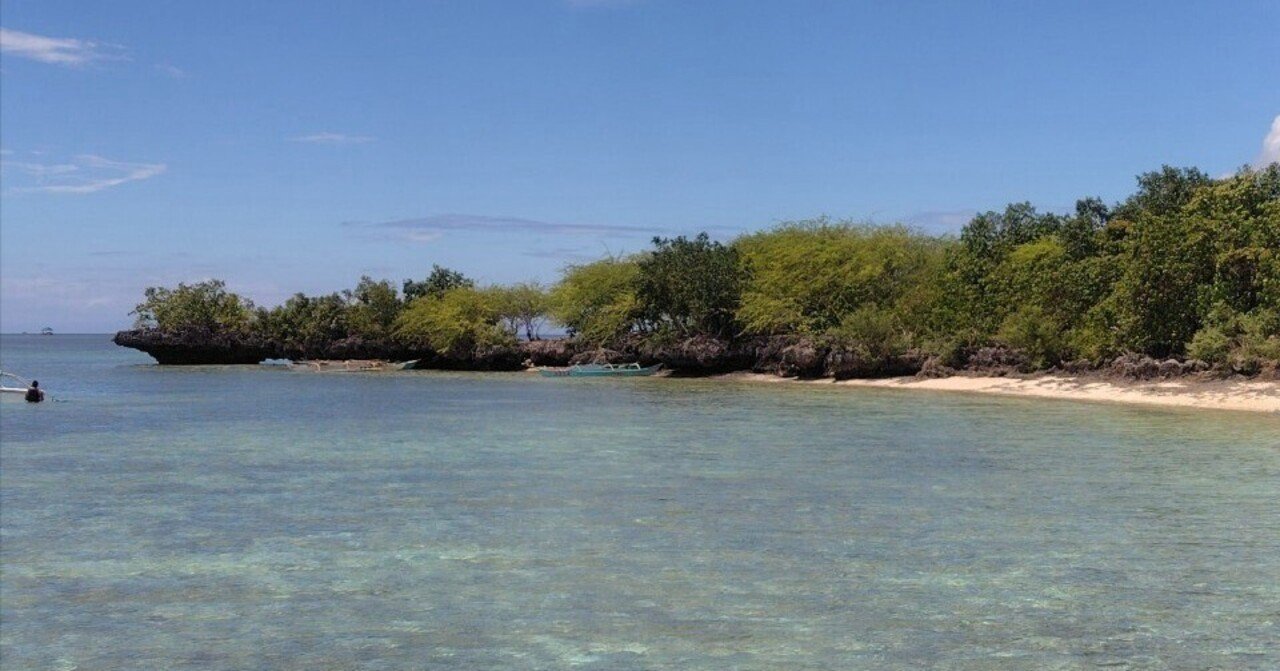 海外旅行記🇵🇭セブ島〜人生2度目の海外へ〜｜ほねみぞ たけし