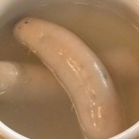 雪のブダペスト 砂糖敦子 Note