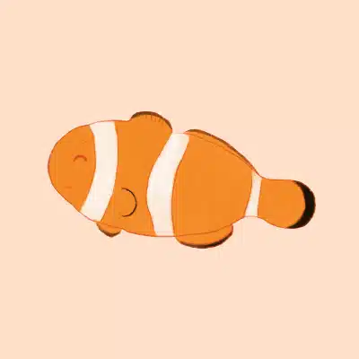 由芽