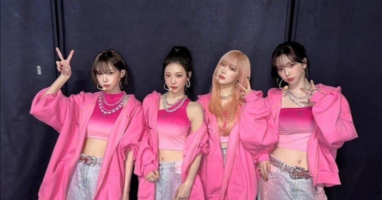 Pink Hoodie [aespa]｜Joy timeless