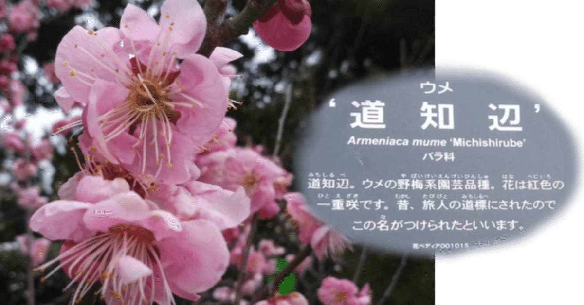 国際契約英文法－契約書における主語の扱い｜中村秀雄｜英文契約