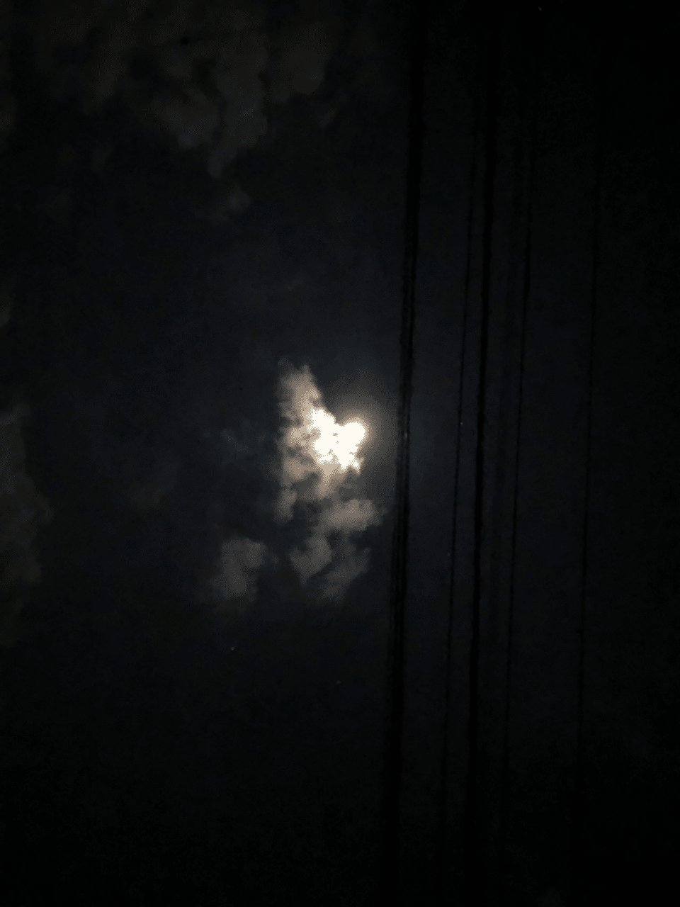明るい夜空に流れる雲 クッキー 自然案内人風のオアシス Note 明るい夜空に流れる雲 クッキー 自然案内人風のオアシス Note