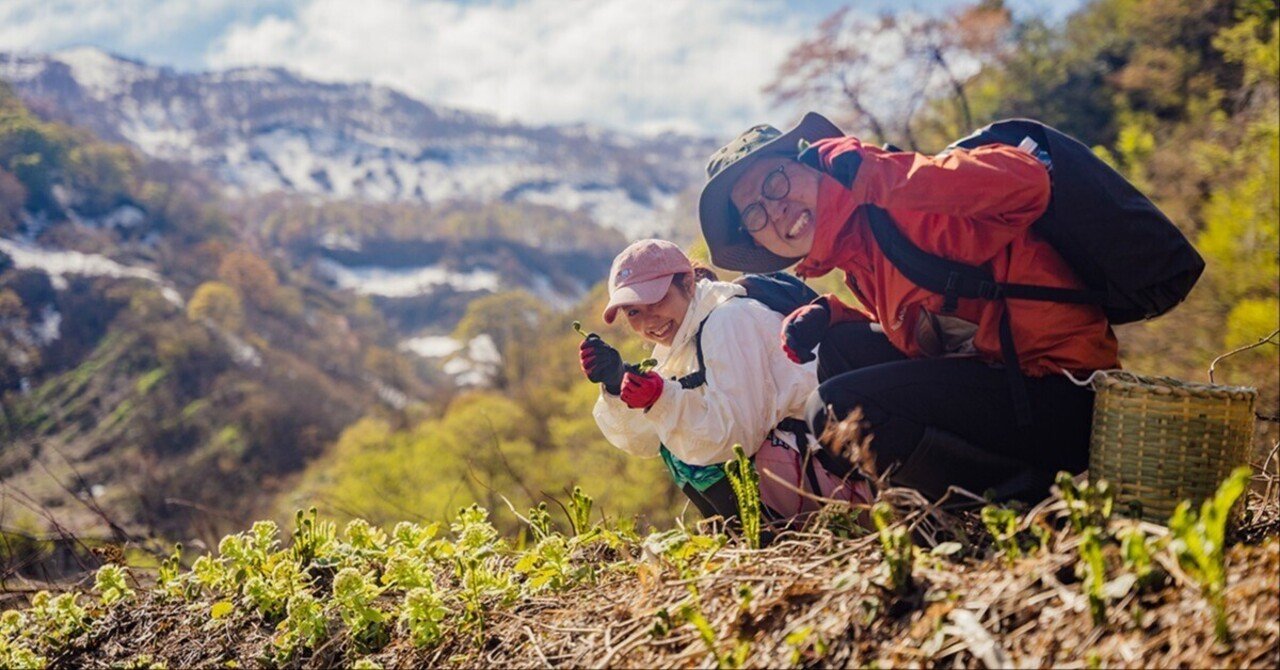 山採り天然 ツリバナ 3 山採り天然 ツリバナ 3