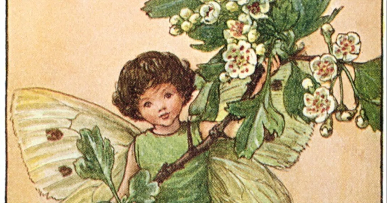 花の妖精 : 英国の花たち　【sc2】 花の妖精 : 英国の花たち 【sc2】 花の妖精 : 英国の花たち 【sc2】