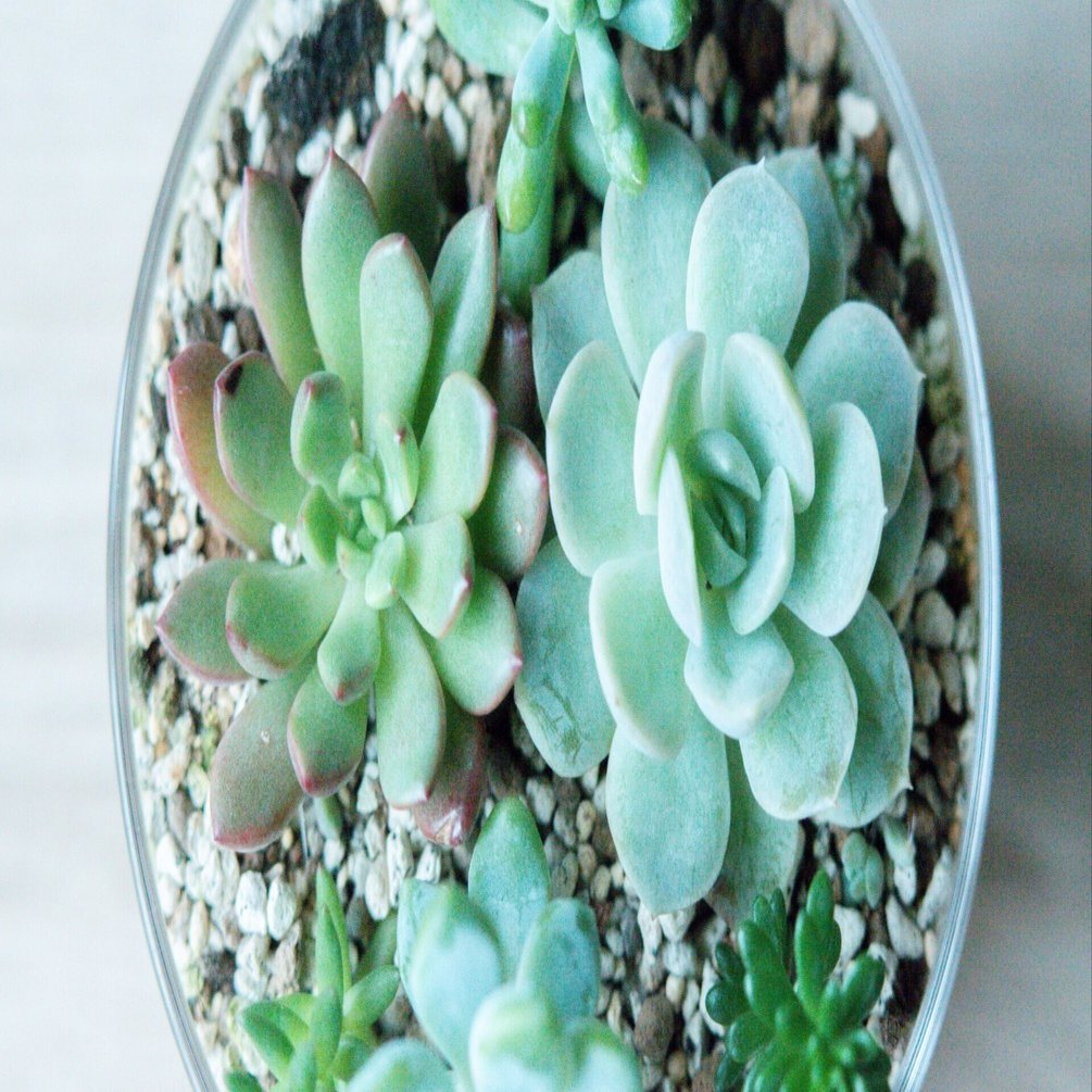 MacBookのスペックに悩んだ。｜早川 沙奈