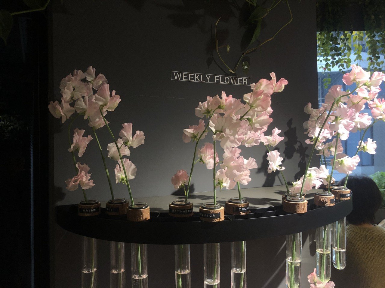 花と緑に囲まれたオフィスで実践！】「チャレンジ→改善」で生まれる