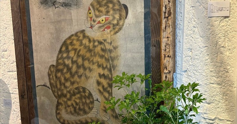 トランサーフィン