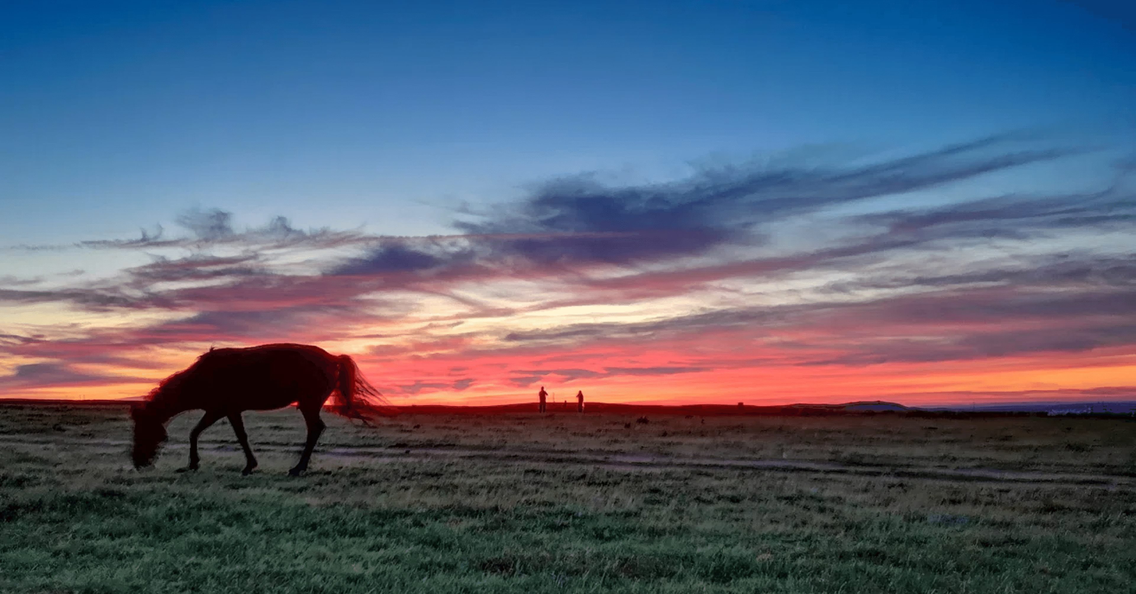 186.【印欧語 故郷探訪#7】黒海北東説｜mozhi gengo