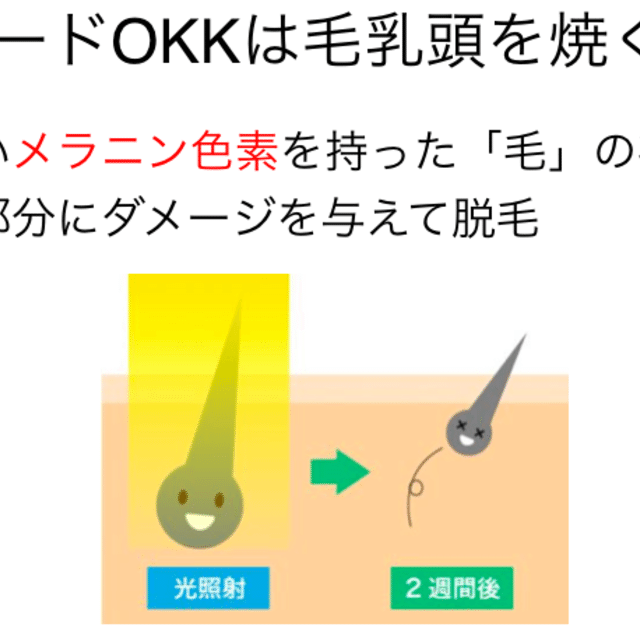 スクリーンショット_2020-01-15_9.36.35