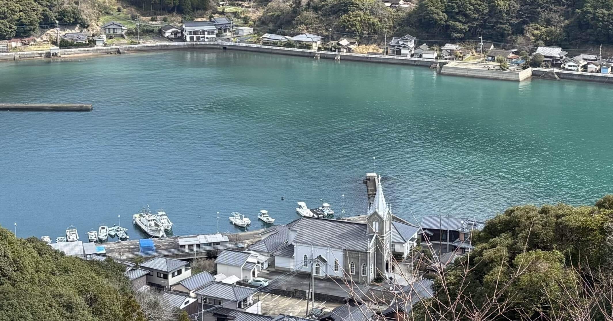 天草】東へ西へ車中泊で日本一周｜旅するチワワ