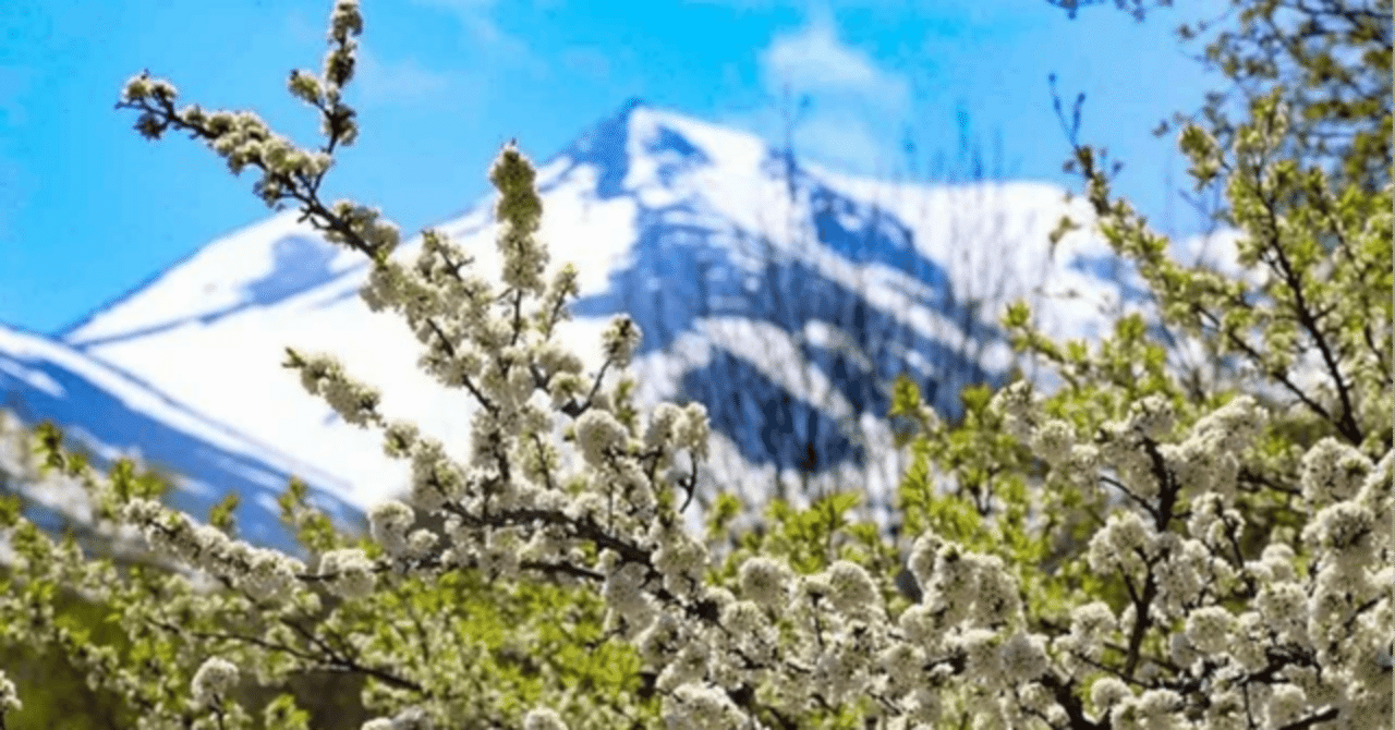 乗鞍高原で春～初夏に歩きたい新緑トレッキングルート5選｜歩治の高原