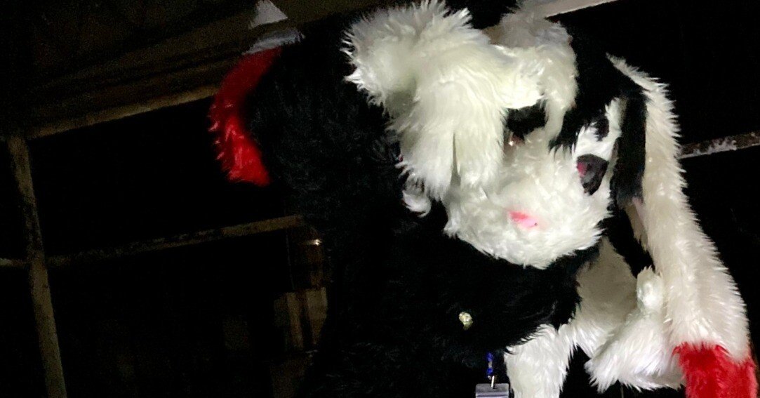 モラル」の話。あなたがケモノイベントにおける「ヤバい奴」にならない