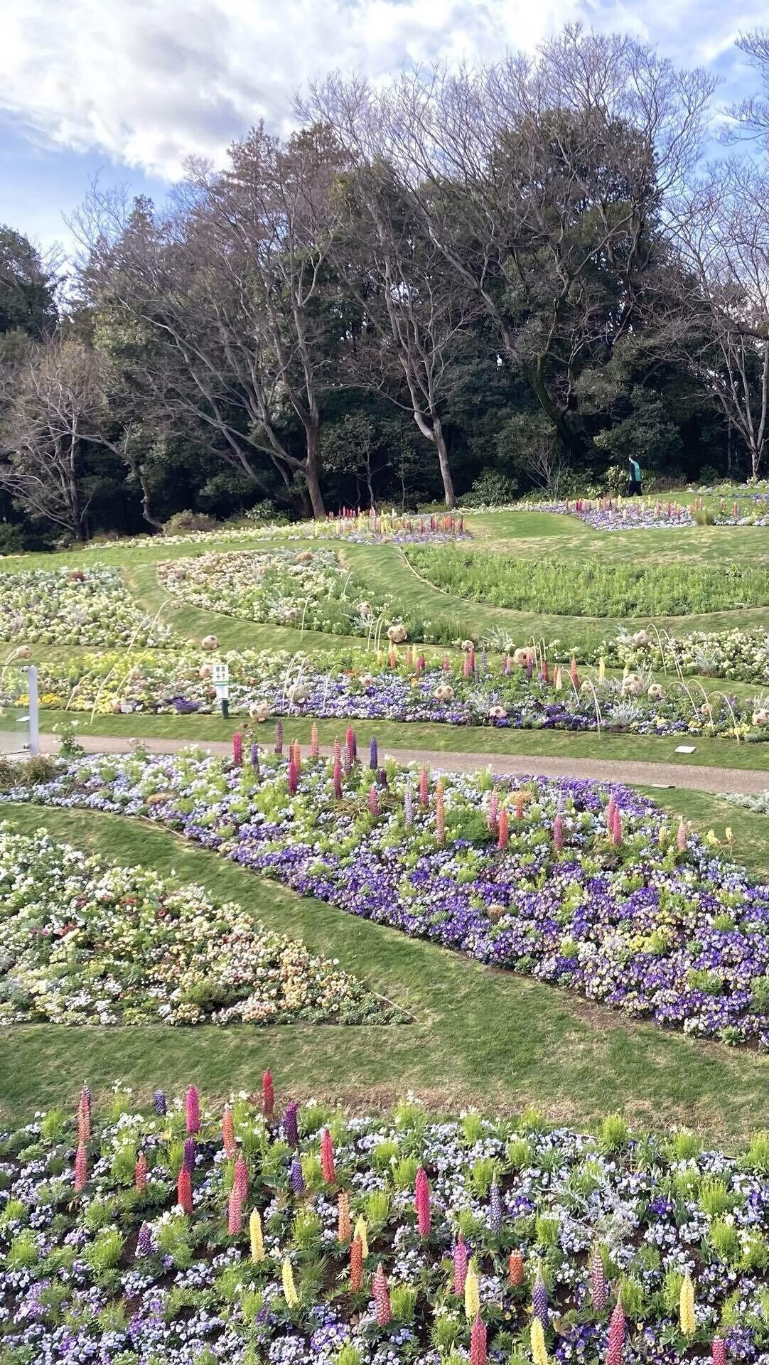 里山ガーデン2025春｜そば茶