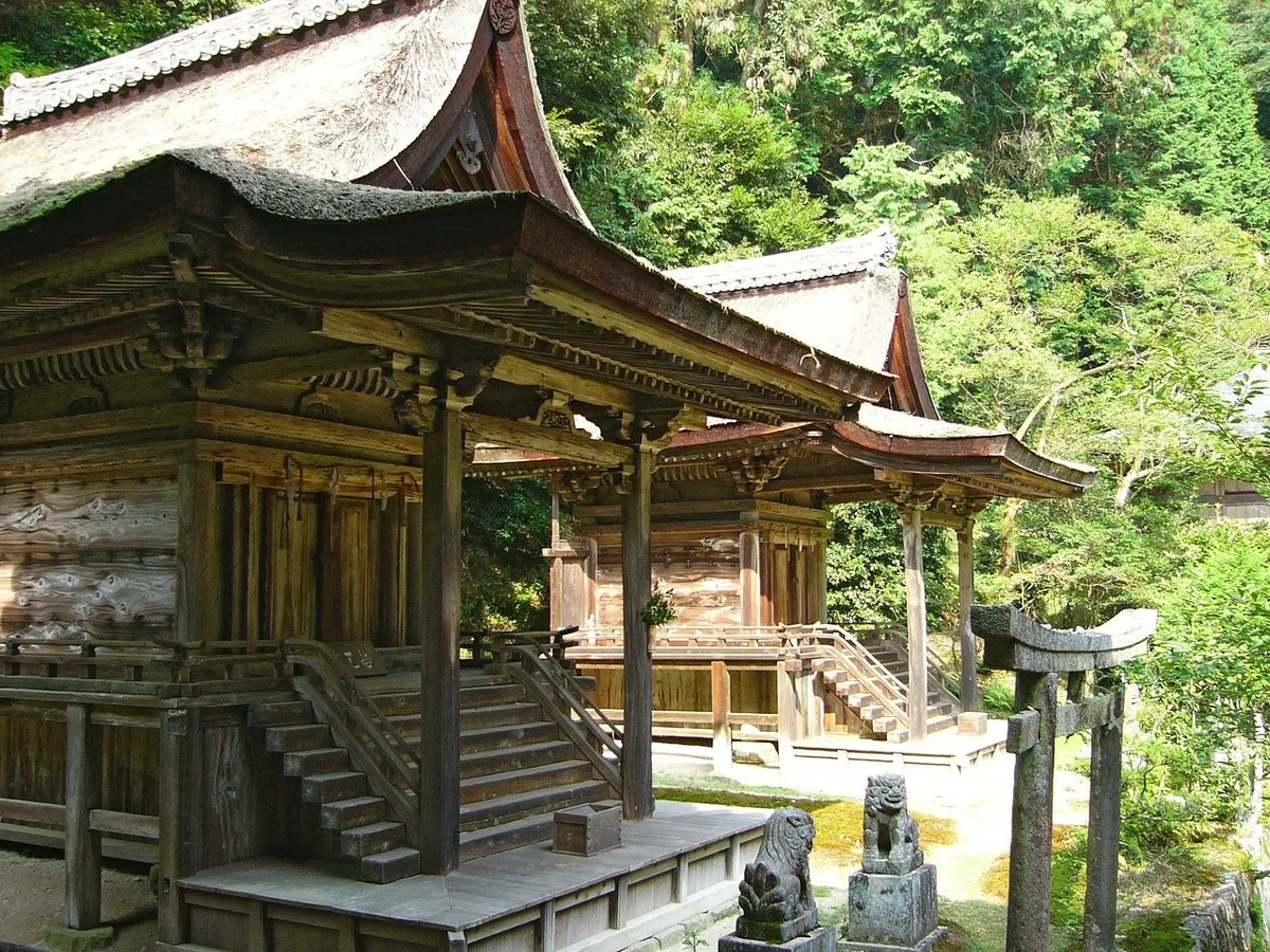 画像4
