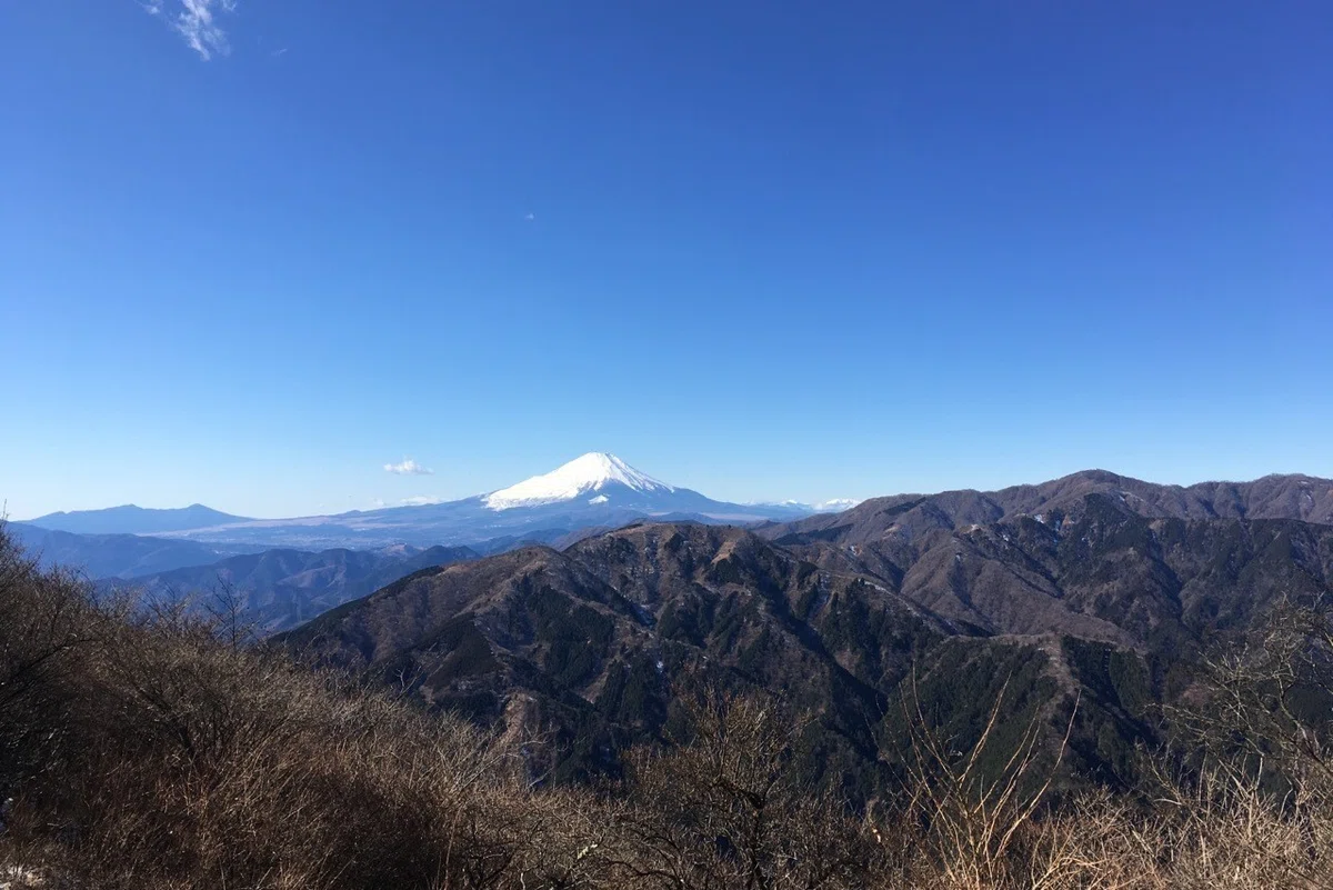 画像13