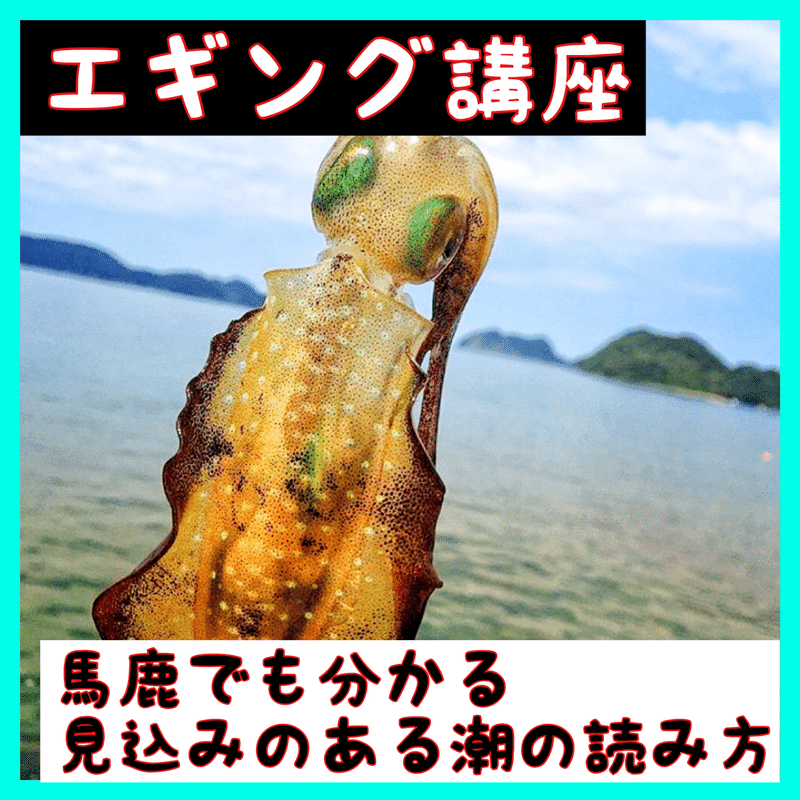 馬鹿でも分かる 見込みのある潮の読み方 オンライン釣り塾 Fishing 科学 こう兄 公式 Note