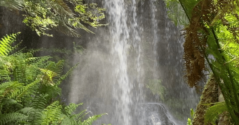 子連れでいける滝 -Russell Falls-