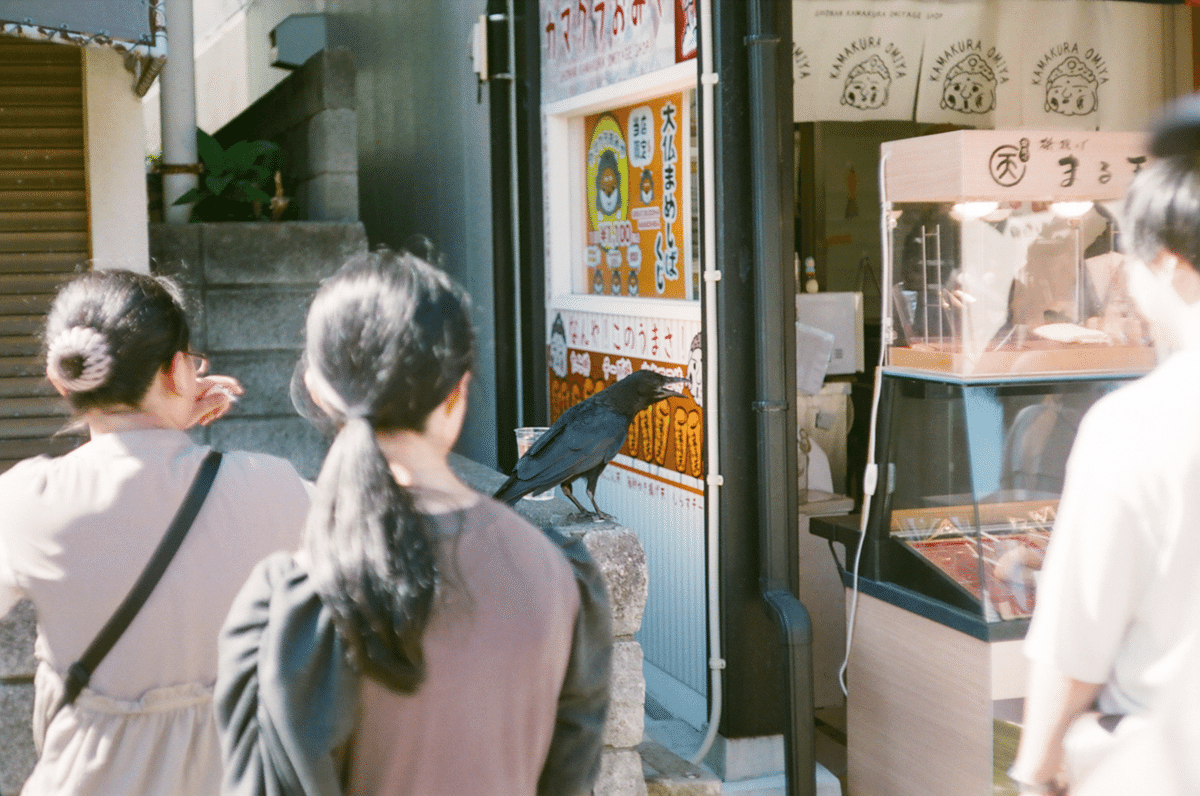 期限切れフィルム富士フィルムsuperia800ズームマスター36枚撮り　六本木 期限切れフィルム - Photo Life