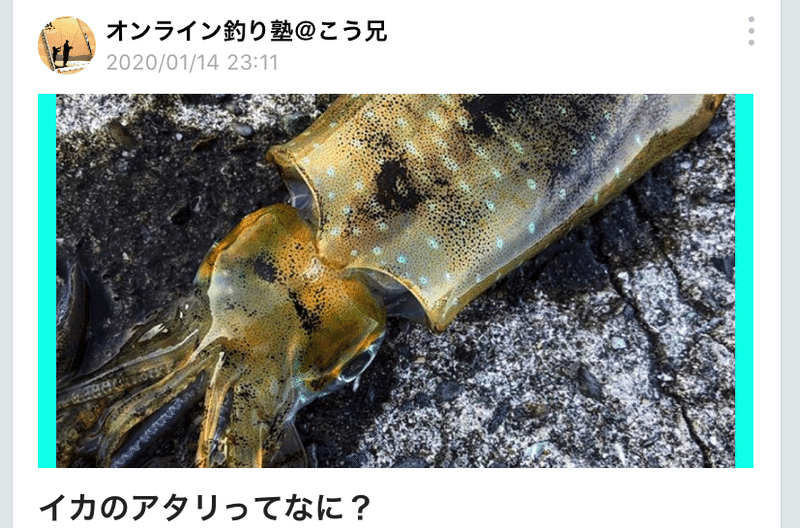 馬鹿でも分かる 見込みのある潮の読み方 オンライン釣り塾 Fishing 科学 こう兄 公式 Note