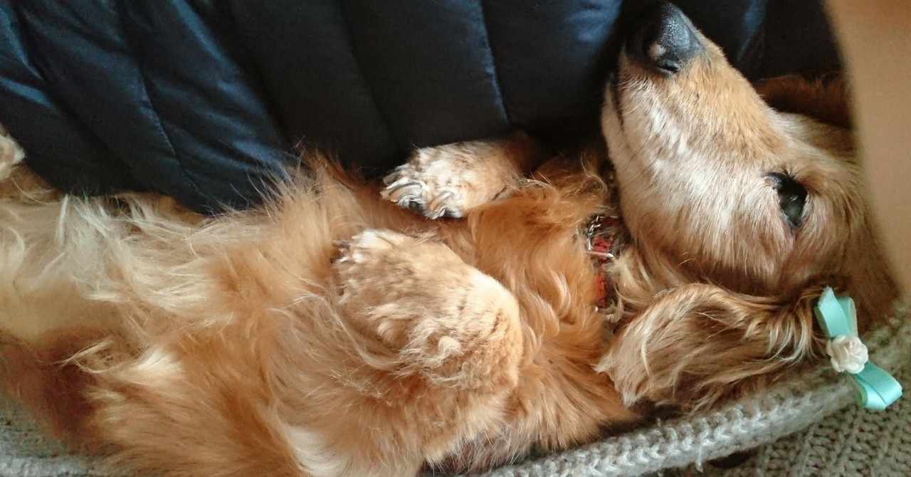 内定祝い の新着タグ記事一覧 Note つくる つながる とどける