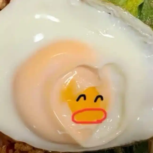 543さんのお弁当🐣