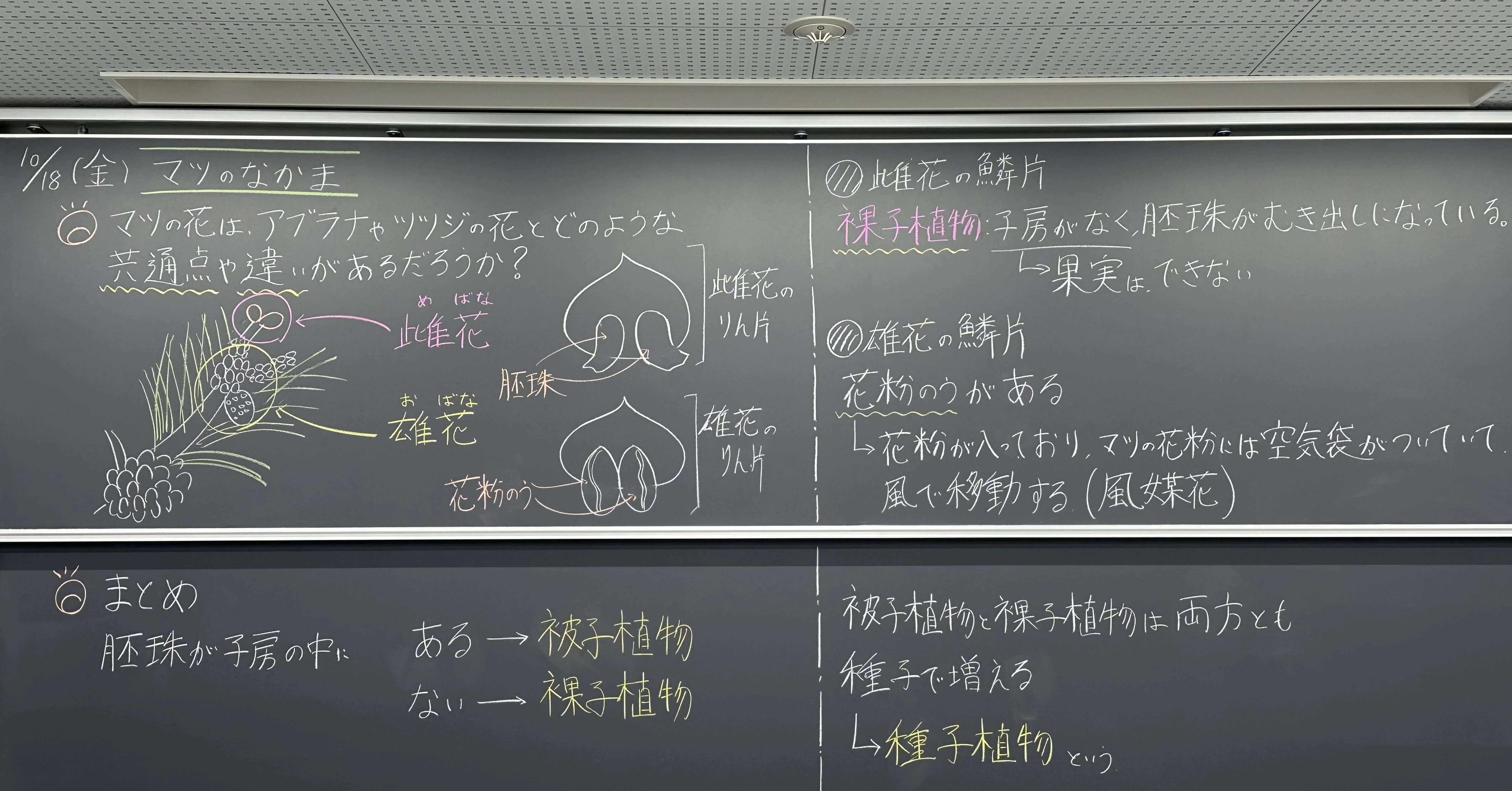 Bucket Sensei｜note
